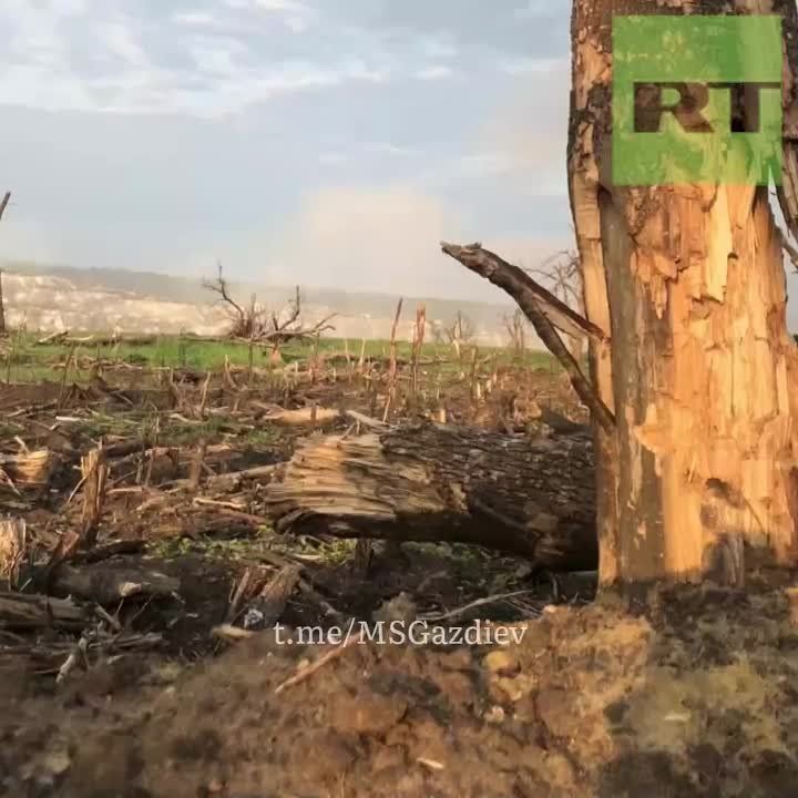 ����� ����������� ������� ������