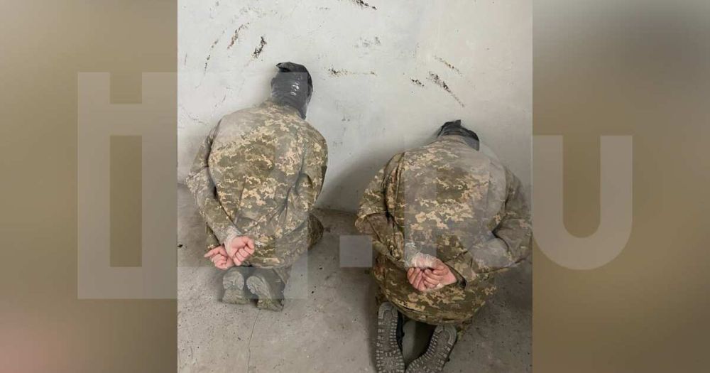 ��� ������� ��� ����������� ������� � ���� ����� ������ ��� ����������