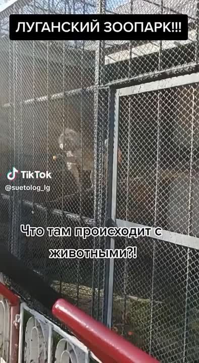 ����� �� ��������. ���� �������� � ����� ��������!!��� ������� ������� , ���� ������� ������ ��� ����������� �� ���?������ �������� ��� ����� , �������� ����������!!�
