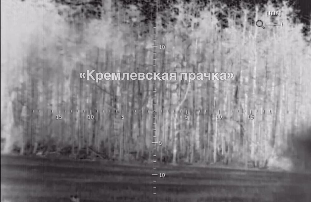 ����� �����: ���� �������� �� ����� �� ������ � �������� ���������, ������ ������