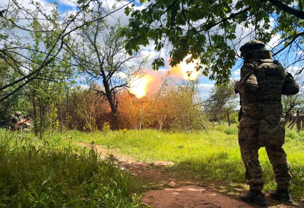 ����� �����: ������ - �������� - �������� - ������