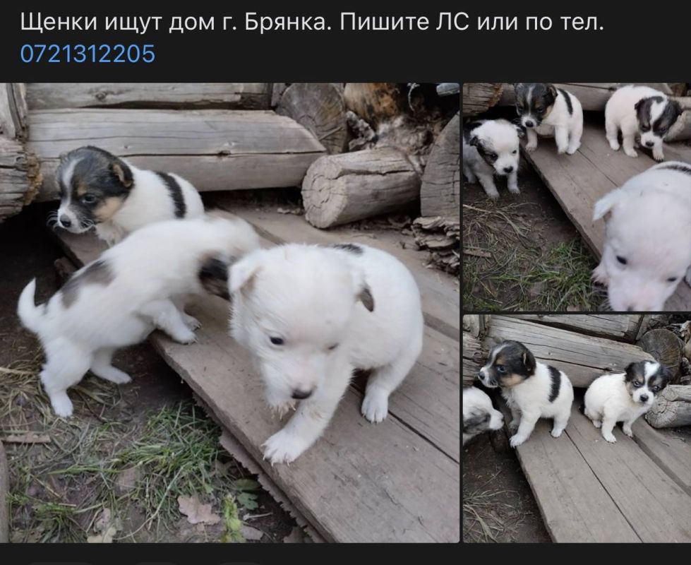 ����� ������: �� ���� ������ �������� ����� ����������