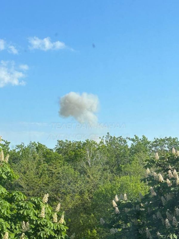 ���� ����� ����� ���� �� ��������, ���������� 2 ������ � ������ �����������