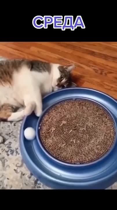 ����� ����������� � ������, � ����� ��� ������ ������� �� ��������!