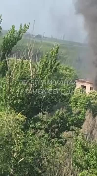 ������ �������: � �������� ���� ����� ���� �� ������������ �������