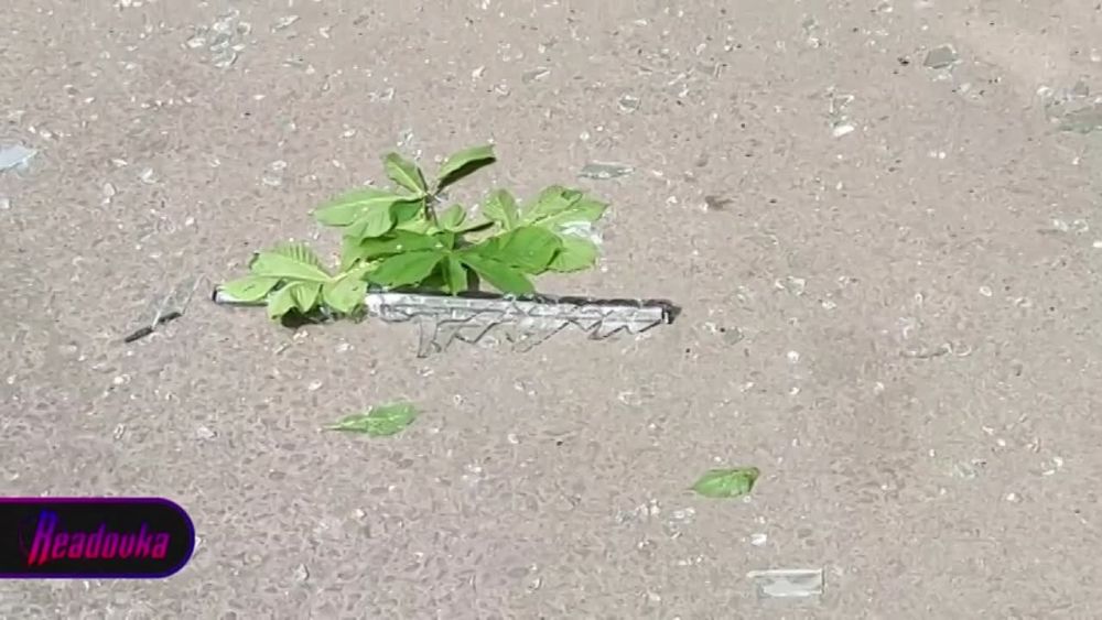 � ���������� ������ � ������ �������� ���������� 7 ������� � ��������