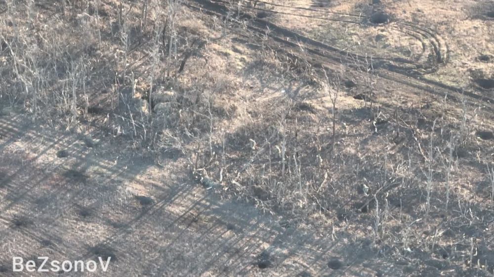 ������ ��������: �������� ��������� �� ��������� ������� ������� ���������� � ������ �����������, ���. ������ 2023 ����