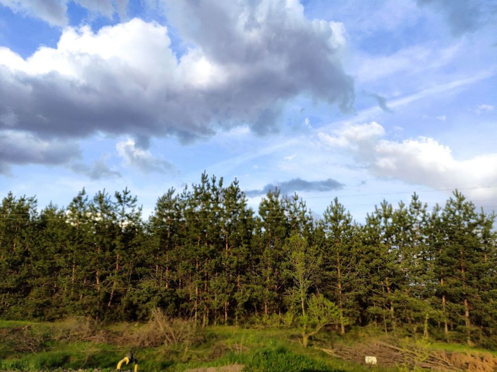 ����� ��������: ������� ������� �� �������