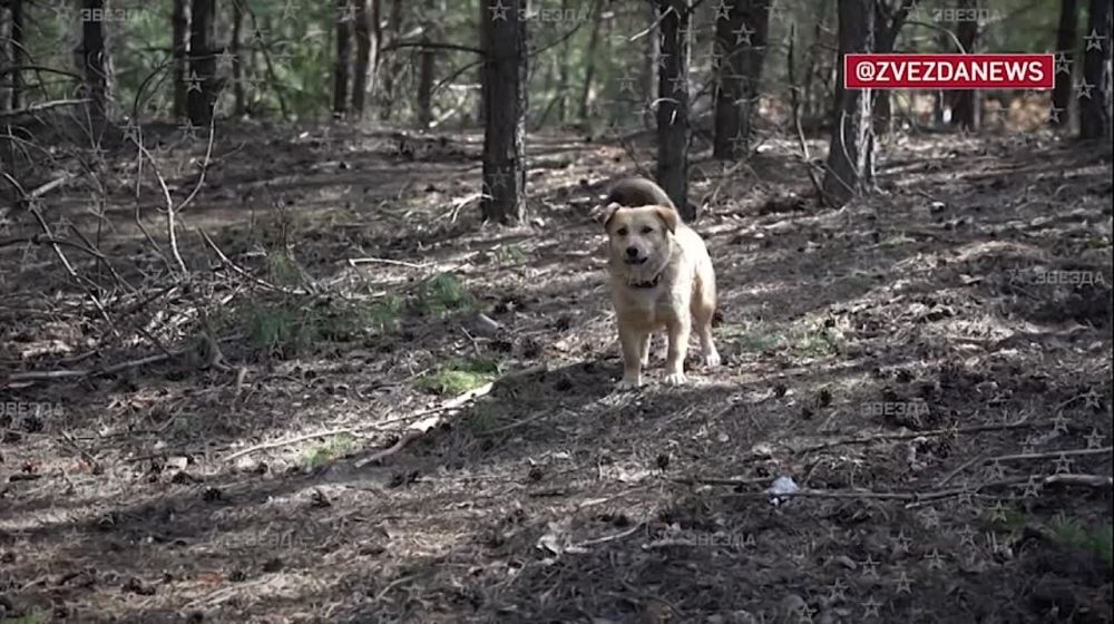 ������� � ��������� ����������: ������������ ����������, ��� �� ������ ����� ������� ����� ������� ���������� ��������