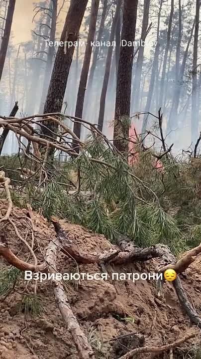 ������ �������: ������ ������ �� �� �� �� ������������������ ������ ����������� ����������� �������� ������ � ����� ��� ���������