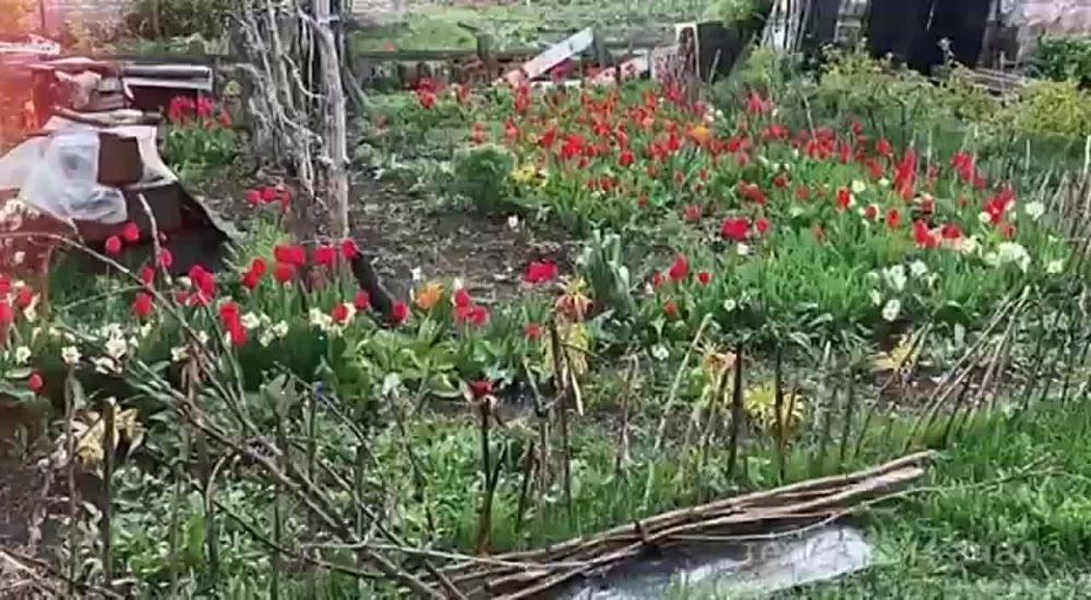 ������� ������: ���������� ����� ������� � ������� ������ ������� �� ������� � ��������