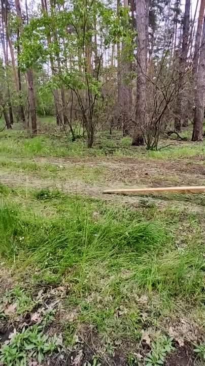 ������ �������: �������� ������� � ������������� ������ �� ����������� �����������