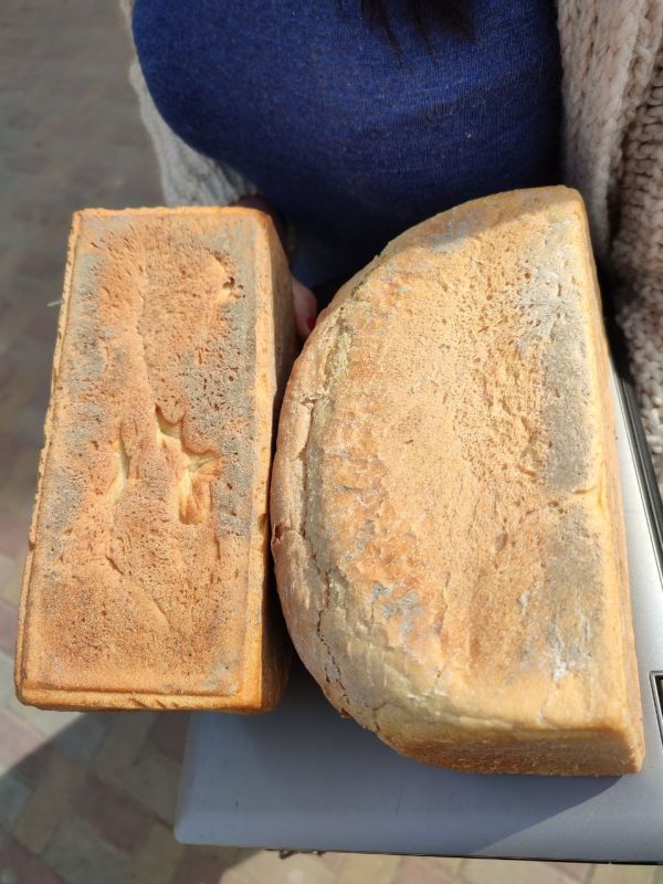 Олег Попов: Вот такой хлеб (с грязью) выпекаемый в Лисичанске, со слов пожаловавшегося постоянно продают в магазинах Лисичанска и по цене дороже чем в Луганске