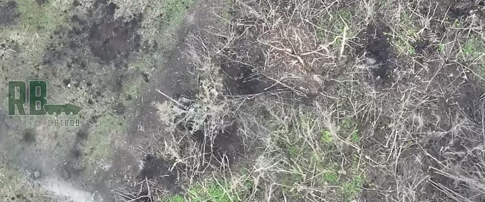 ���������� ���� ����� �� ����