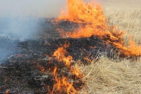 ������������� ��� ������� ������� ����� ��������������� � ���� �������� ����������