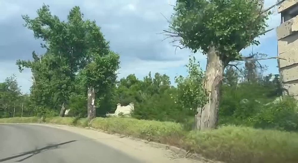 ������ ��������: #������������ #�������� #��� ������!