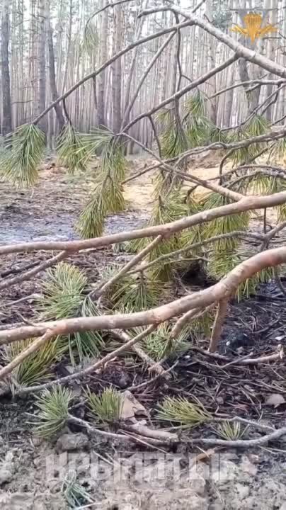 ���� ������ ���-�� � ��������� ����