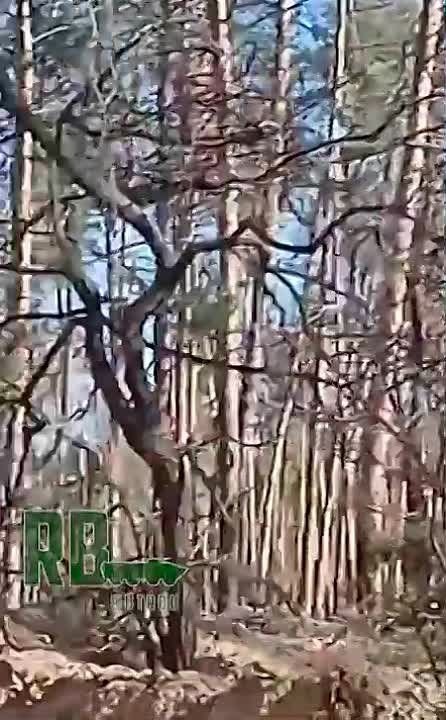���������� "�������" ���������� �������������� �������� ��� ���������