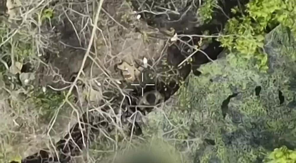 ������ �������: ��������� ������� ��� � ������ �������-��������� ��������� ������������ 20 ����� �� ��