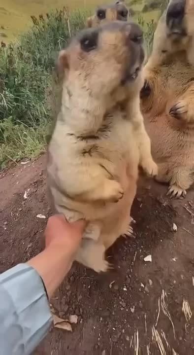 �� �� ���� � ������ � ���� ����� ����� ���� �� ��� ���, ����� ����)))