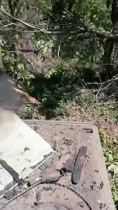 ������ �������: ������ ����� ��������, � ��� �������� ����� �������
