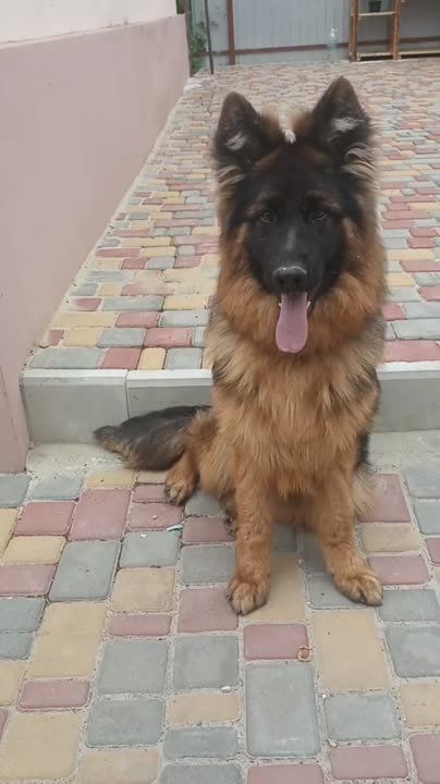 �������� ���������: ���������� �����������, � ��������� �� ����������