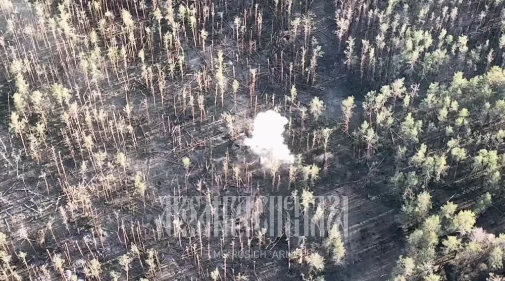 ����� �����: ����������� ��������� �� �������� � ���� ��� ��������� ������������ 76-� ��������� ��������-��������� �������