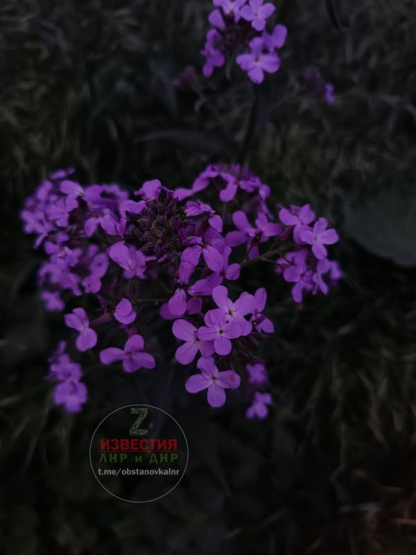 ��������� ������������ �� 23 ��� � ����������� �� 9 �������� ���� ���� ����� �� 23 �������� ����� ����, ������� ������� ����� � ������