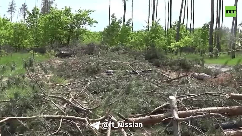 ����� �����: �������� ���������� � ����������: ��� ����� �������� ������-������ ���������� ������� ������� �� �������� ������� ������ � ���������