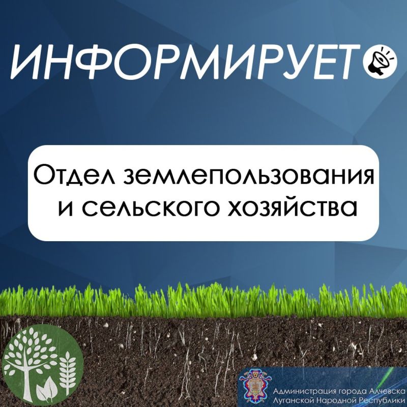 25 ��� � ������ ������ ������� ���������������� ��������� ������������������� ����������� �������� ������� ������ ��������...