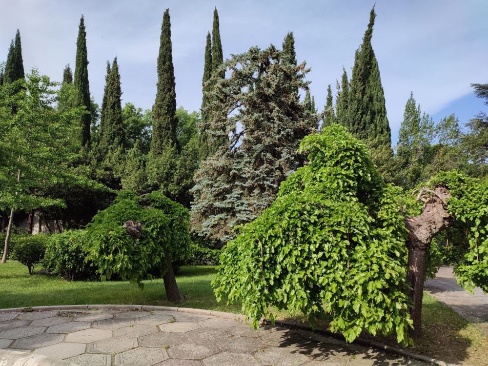 Олег Попов: Найди крымского кота))