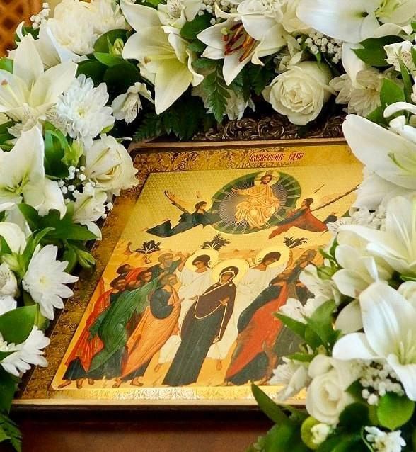 ���� ��������: � ����������� ���������!