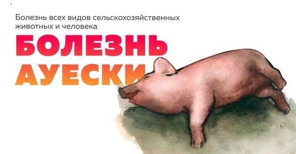 ������������ ������� ��� ������� ������