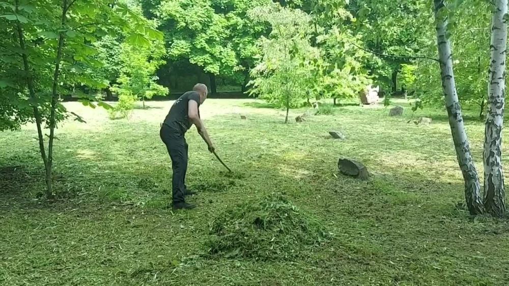 � ������� ���� ������������ �������� ������ �� ��������������� ���������� ������