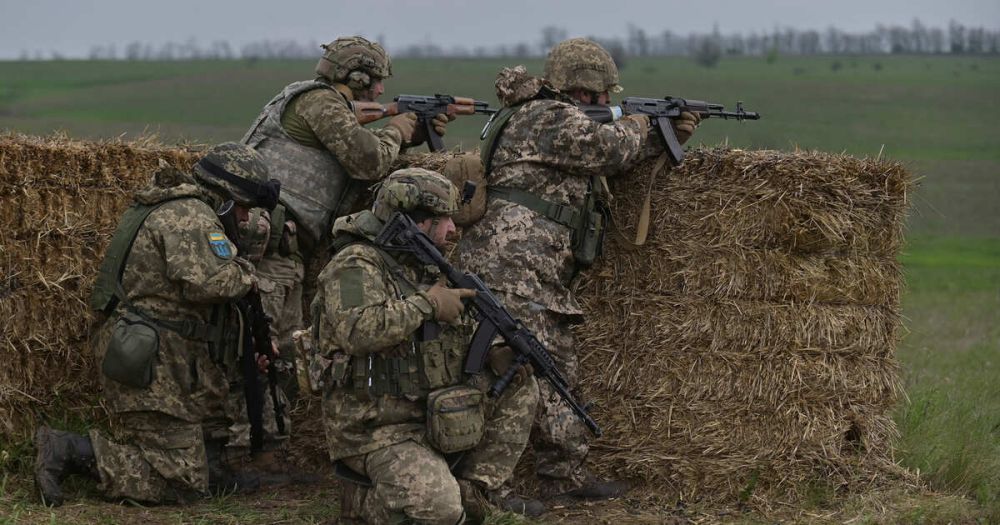 Шольц выступил против заморозки конфликта на Украине