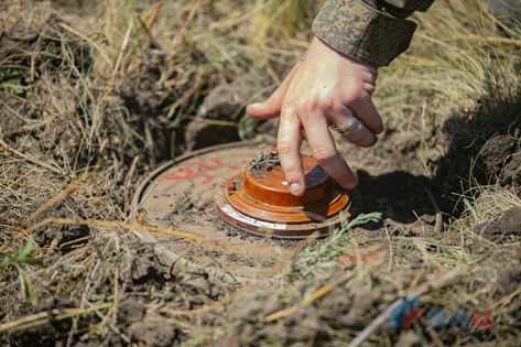 ������ ��� ��� � ������ ��� ������������� 3 285 �� ���������� ����������