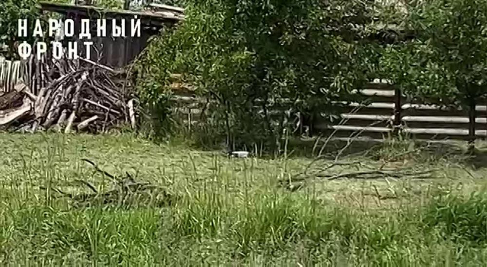 � ���� ��� ��� ��������� ������� ���������� ����������� ����������� ��������