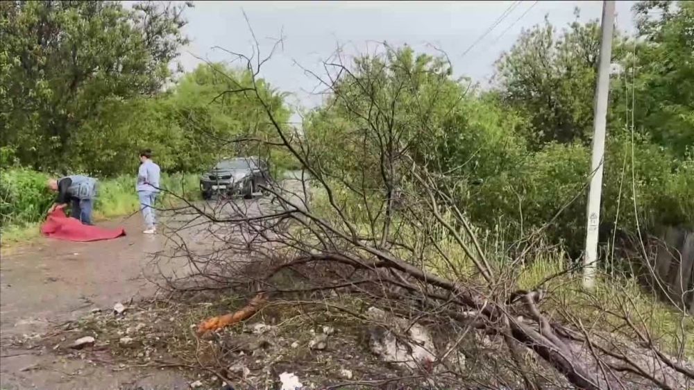 В результате удара украинских боевиков по Алмазной три человека погибли, став жертвами киевской агрессии, еще семь человек, включая десятилетнего ребенка, получили ранения