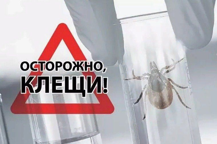 ��������� ! �����!. � �������� ��������� ��� ����� ����� � ���� �������� ��������� ��������� ������ ����������� �������, �������������� � ���������� ������������ �������� ������������� ������������ ������ ���� ���������� �����������
