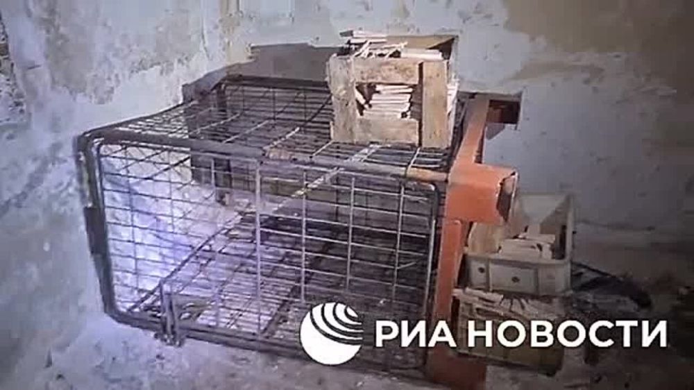 � ������� ���� � ������������� �������� � ��� ���������� ��������