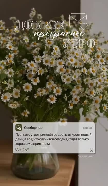 �������������� �� �����