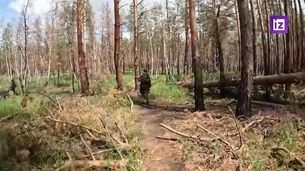 ������ ����� ������ ��������� ������� ������� ��������� ������, ������� ����������� � ���