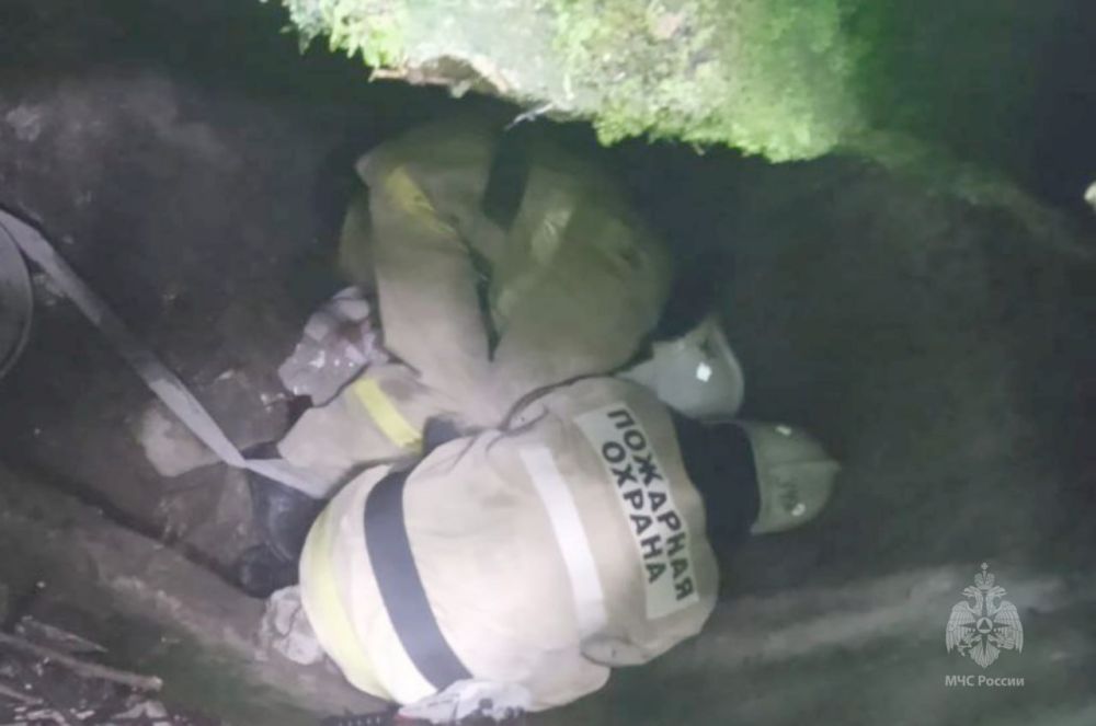 Миусинские спасатели извлекли из колодца собаку