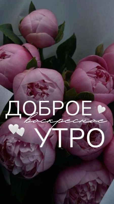 �������������� �� �����