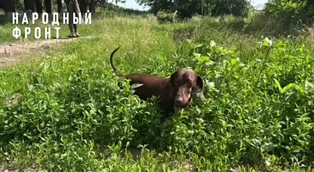 ����� � ����. ����� �� �� ������ ����������� � �� ������� �����������