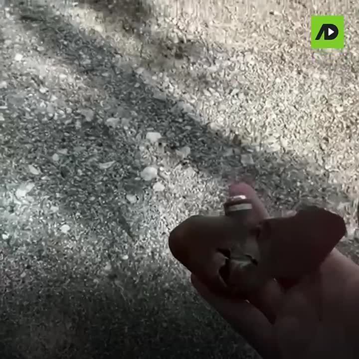 ��������, ��������� ������ � ��������, �������. �� ������� ����������, �� ������� ��������, �� ������� ������� � ������. �� ������� ����� �������