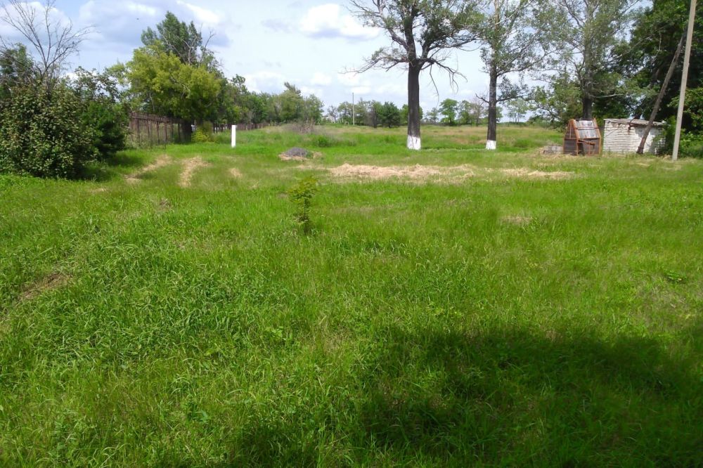 ������ �������: � ���� ���� � ������ ���������� ������������ ������� ������������� ���������� ��������� ����� ����������...