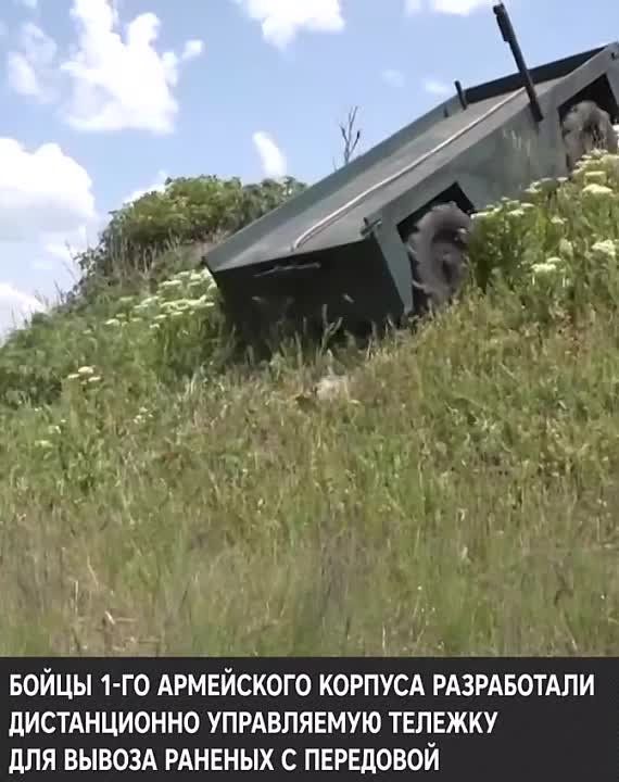 ���� �����: ������������ � �������� � ������ ������ �����