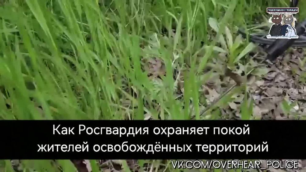 ������������� ���������� ������ ����� ������ �� ������������� �����������