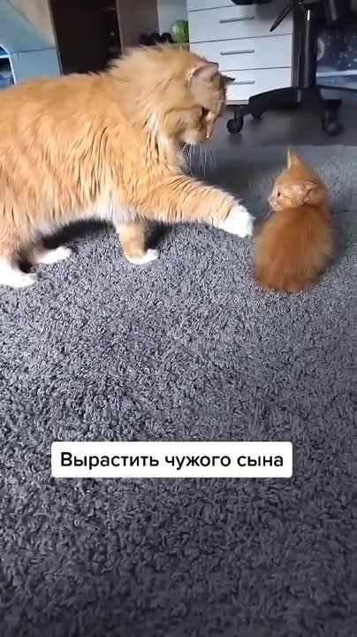 ��� ������ ������� � ����� ��������� ���?